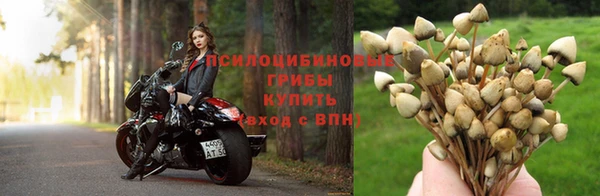 гидра Мегион