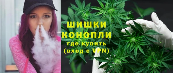 гидра Мегион