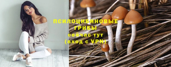 дживик Медвежьегорск